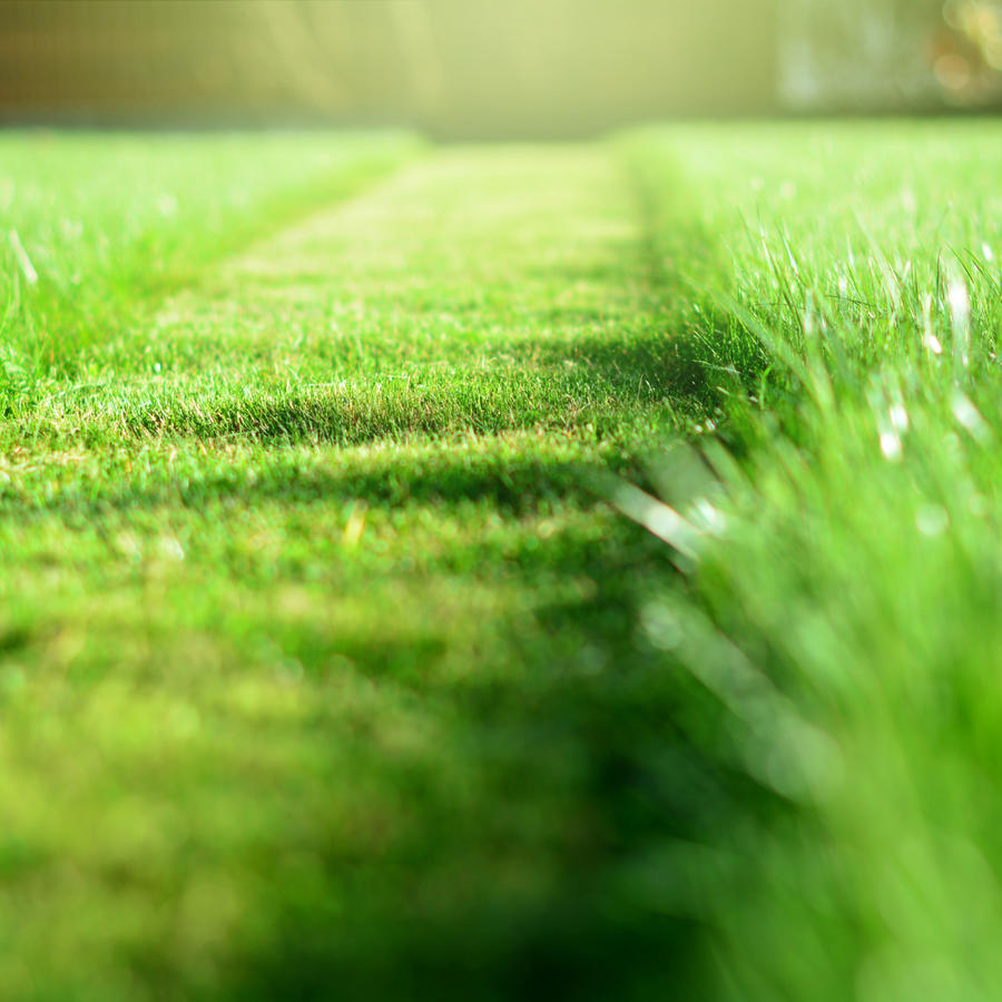 How To Keep Grass Green In Hot Weather Spinkler System Store
